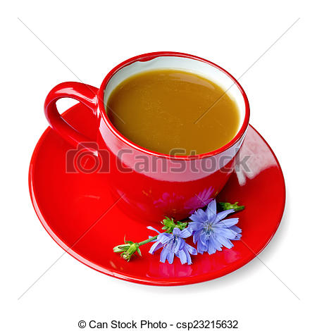 Chicorée rouge  - alimentation grossesse