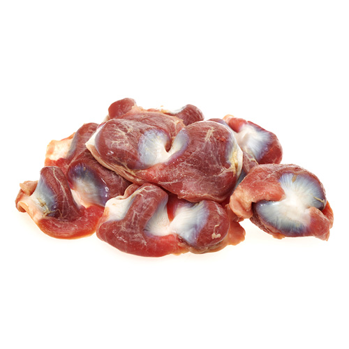 Moela - Nutrição na gravidez