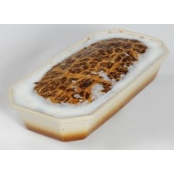 Pâté de gibier  - alimentation grossesse