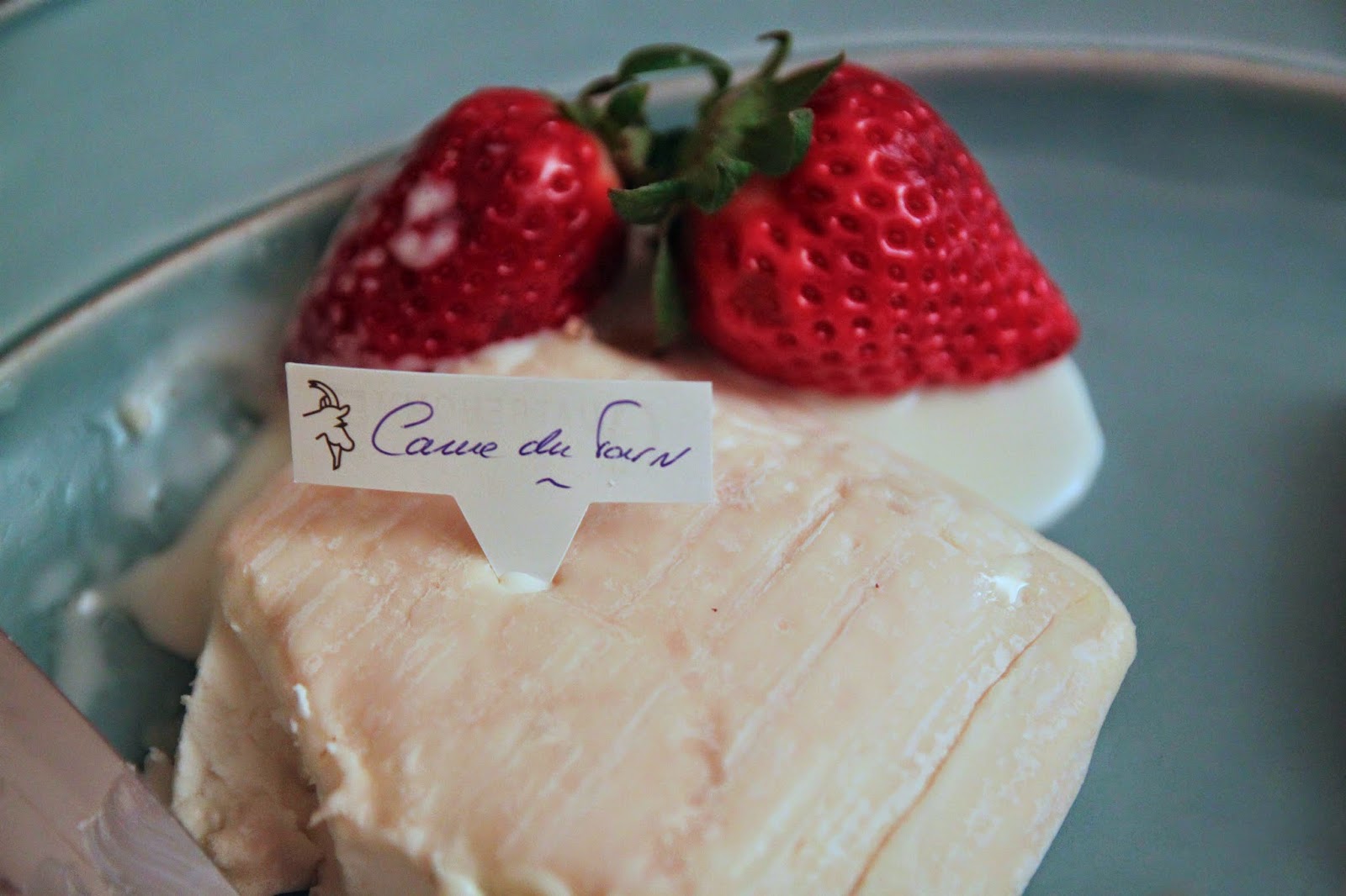 Tarn square  - Pregnancy Nutrition