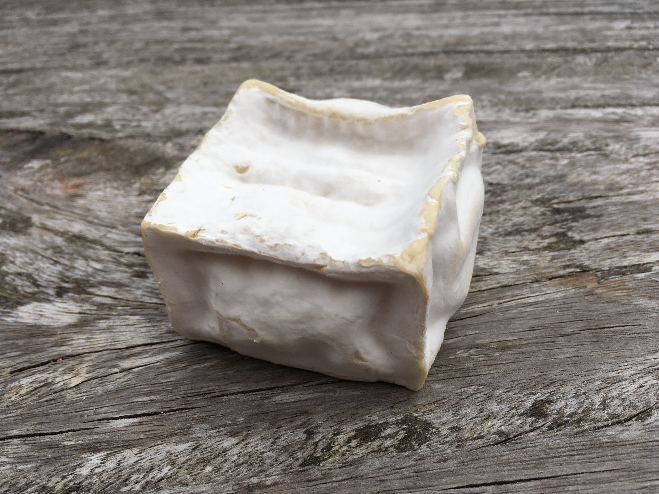 Berry paving stone - Pregnancy Nutrition