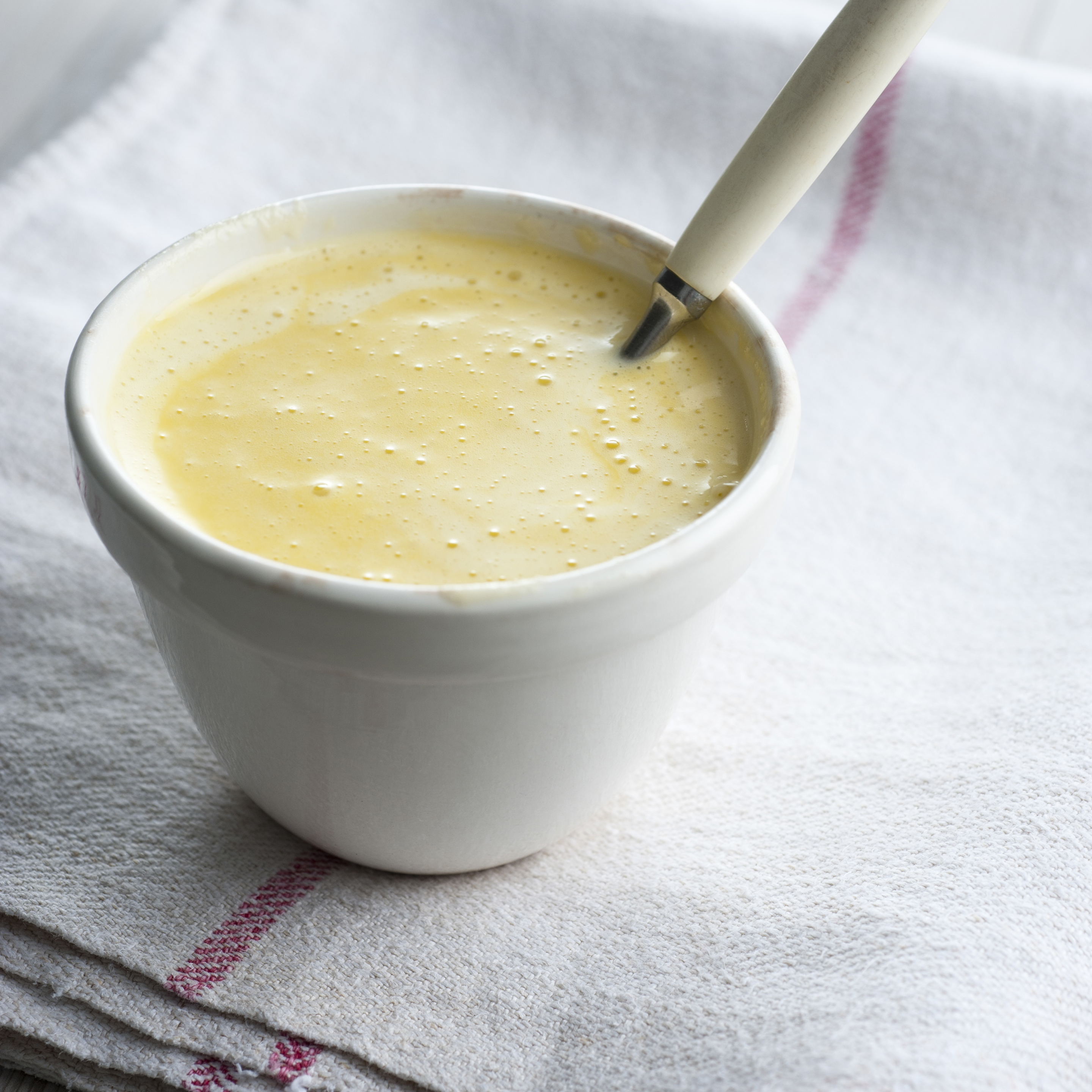 Aioli  - Pregnancy Nutrition