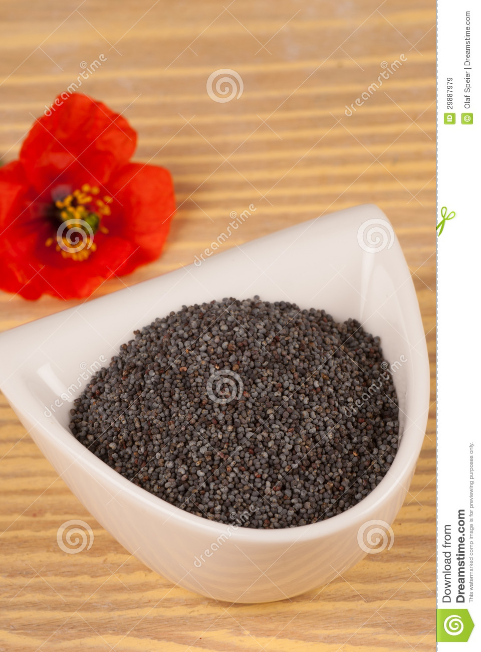 Poppy  - Pregnancy Nutrition
