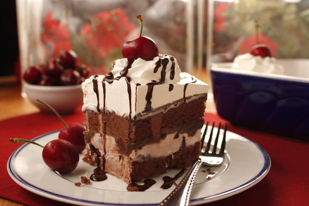 Black Ice Forest  - Pregnancy Nutrition