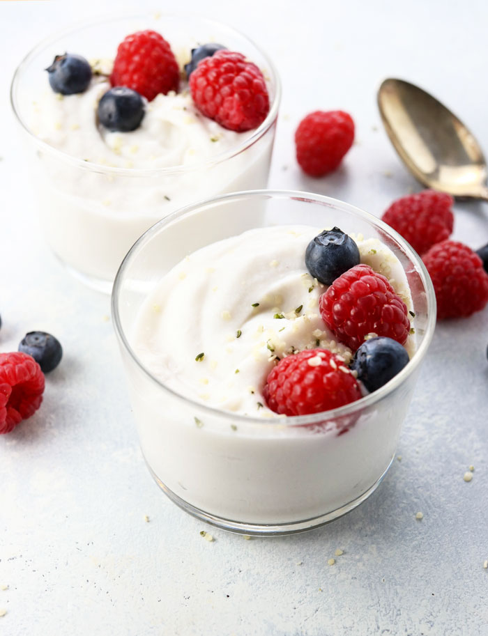 Fermented yogurt  - Pregnancy Nutrition