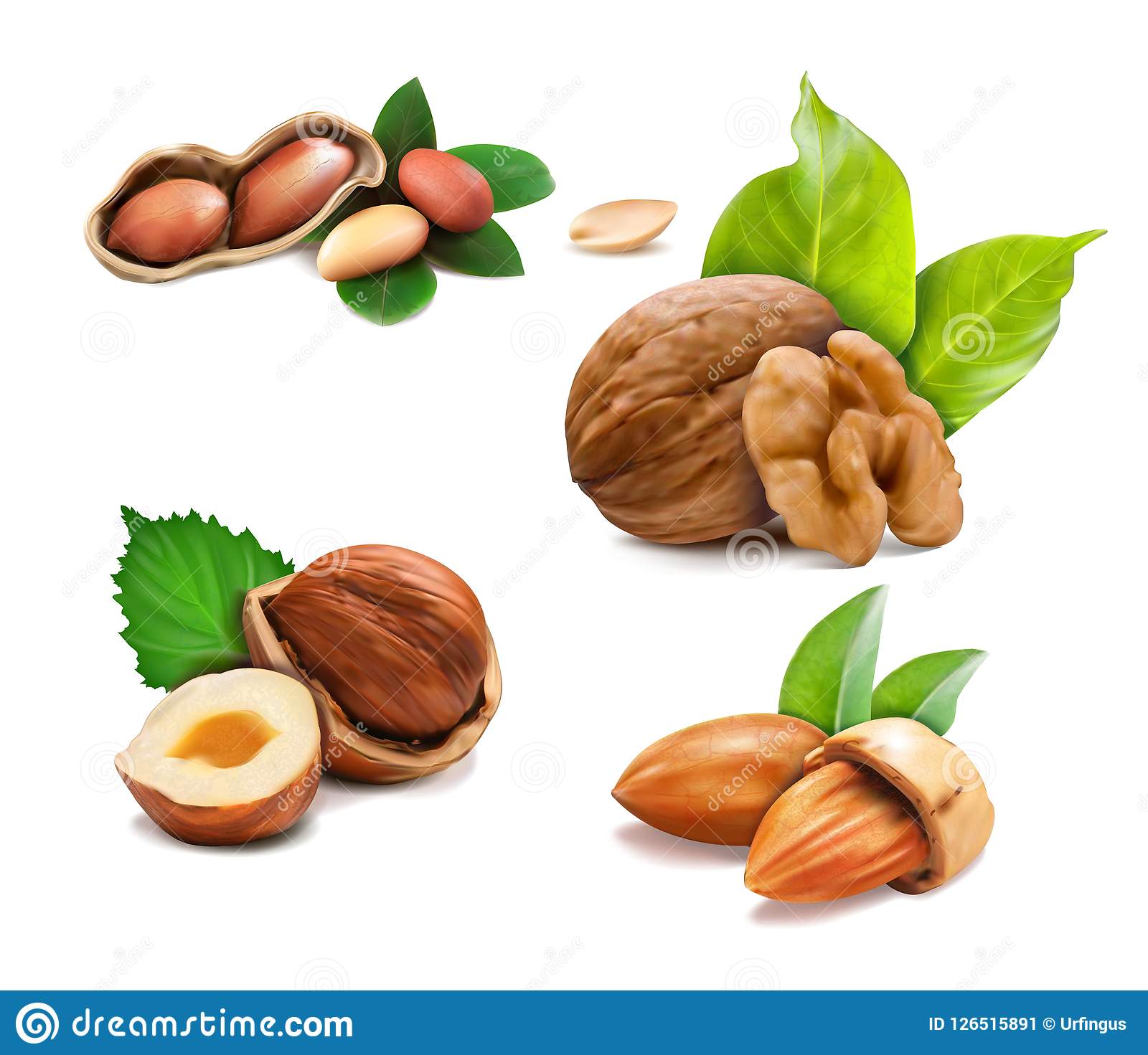 Noz  - Nutrição na gravidez