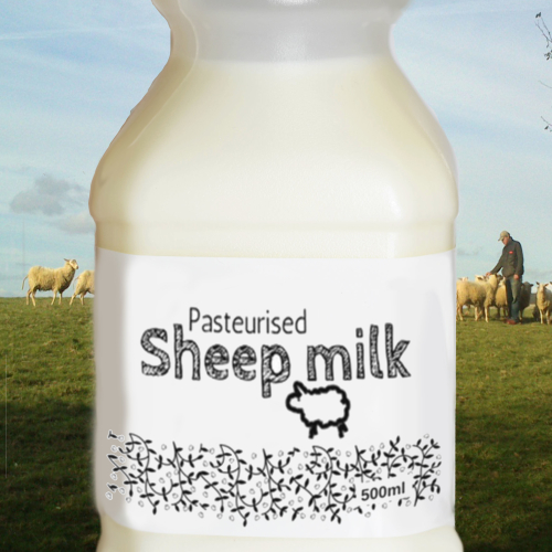 Raw sheep  - Pregnancy Nutrition