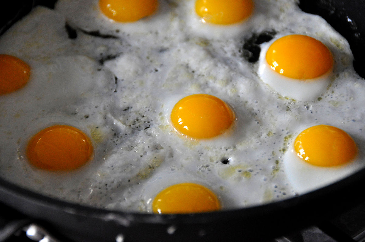 Fried egg  - Pregnancy Nutrition