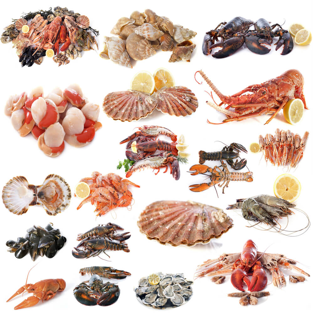 Shellfish  - Pregnancy Nutrition