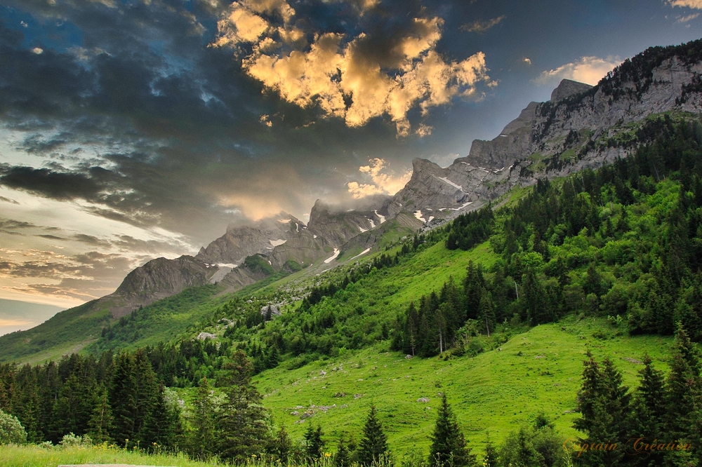 APO Chevrotin des Aravis - Schwangerschaftsernährung