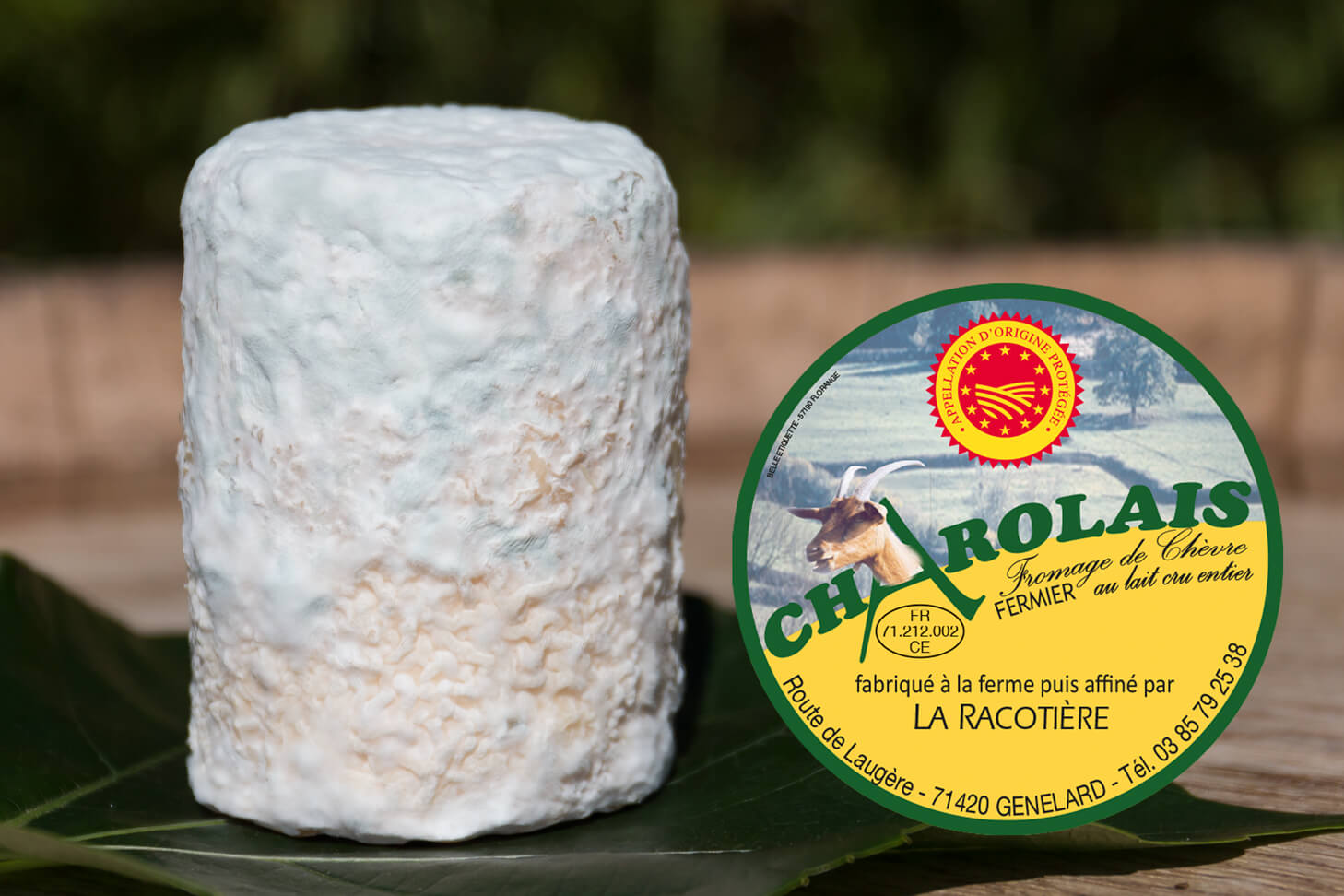 Charolais Aop  - Alimentazione in gravidanza