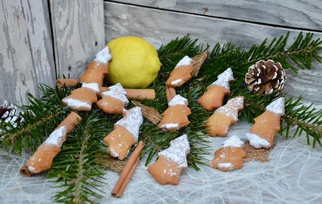 SPICE FIG FIG  - Alimentazione in gravidanza