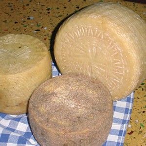 Fior di pecura  - Alimentazione in gravidanza