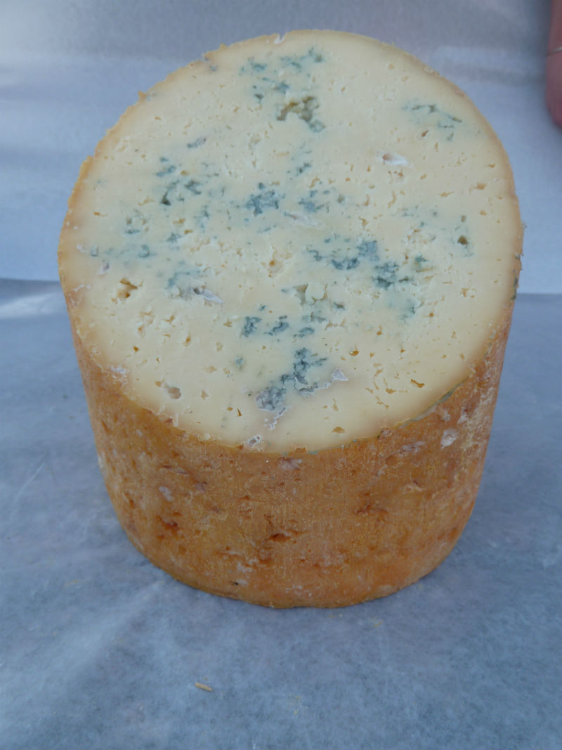 Fourme de Montbrison - AOP - - Alimentazione in gravidanza