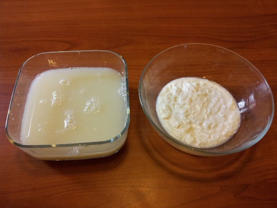 Formaggio di siero di latte di pecora  - Alimentazione in gravidanza