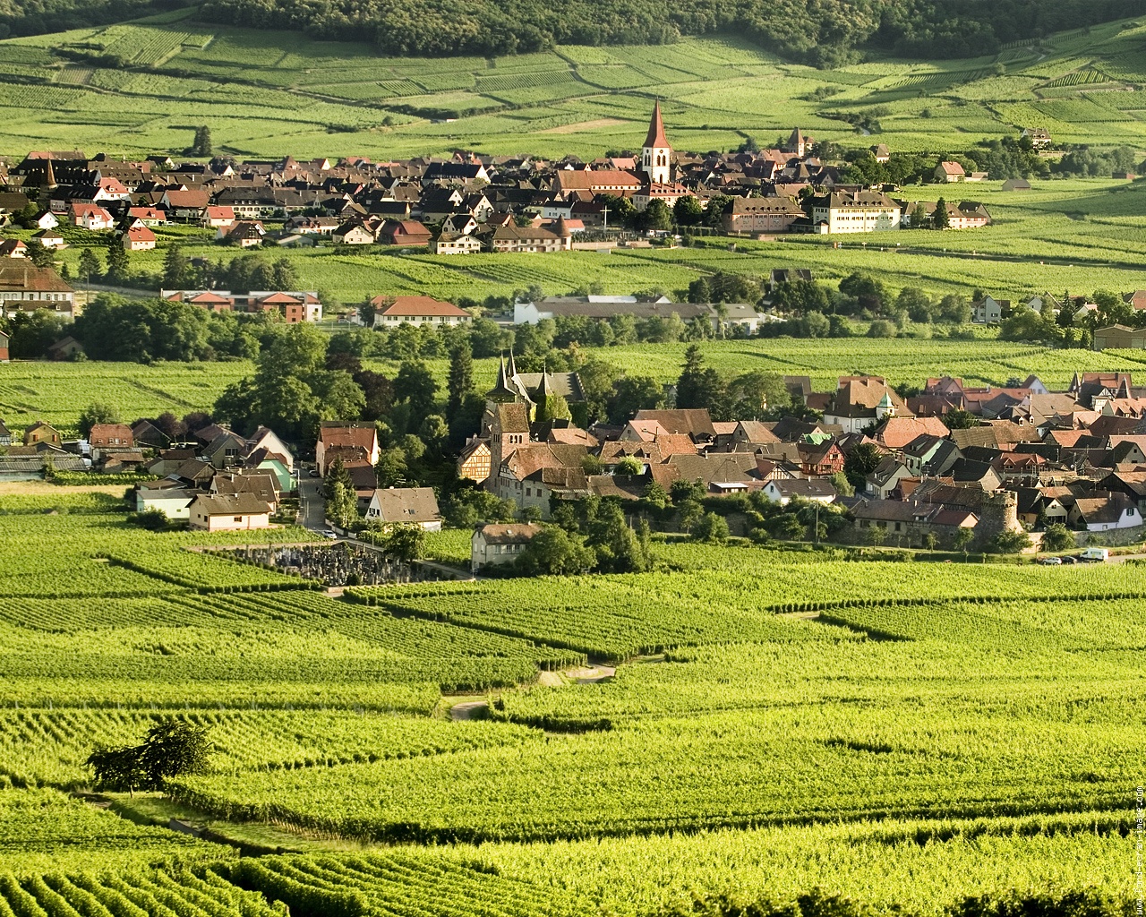 Grés des Vosges - Alimentazione in gravidanza