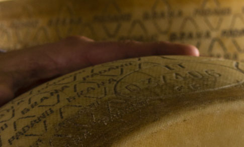 Diamante  - Alimentazione in gravidanza