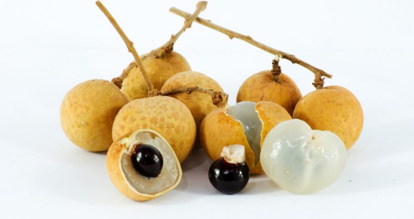 Longanis  - alimentation grossesse