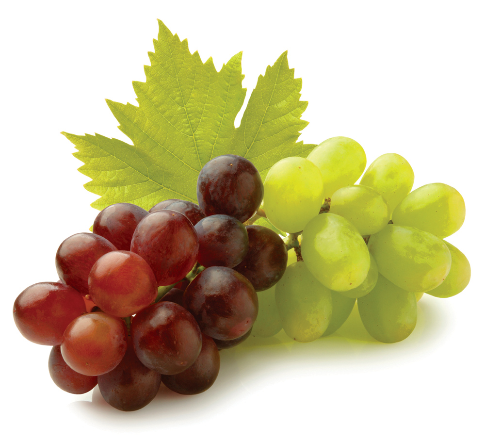 Raisin - alimentation grossesse