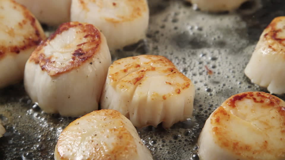 Saint Jacques  - alimentation grossesse