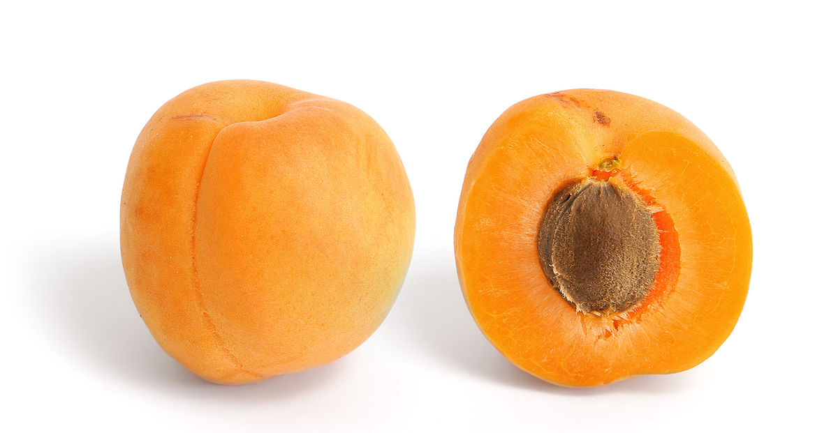 Apricot  - Pregnancy Nutrition