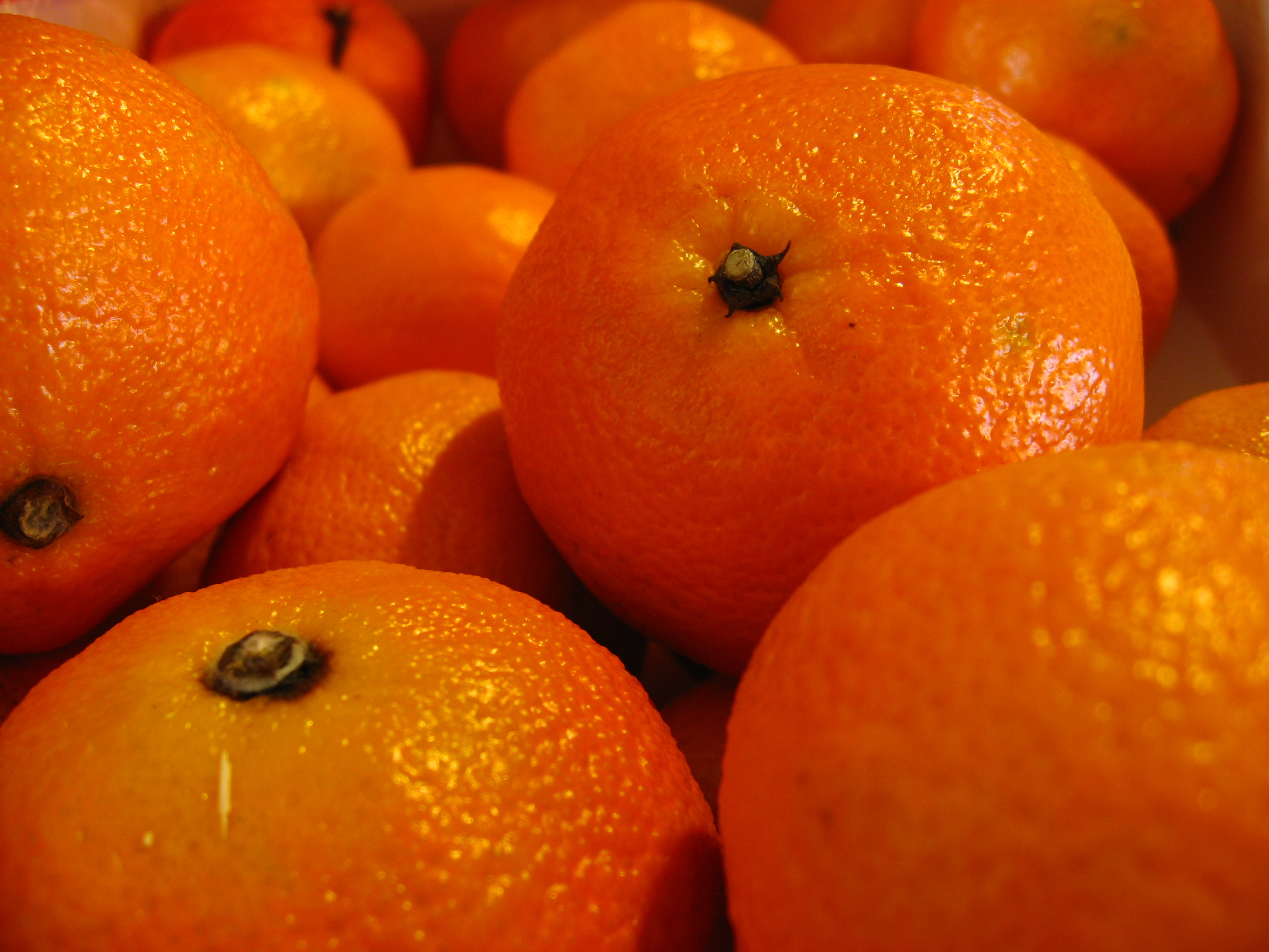 Clementine  - Pregnancy Nutrition