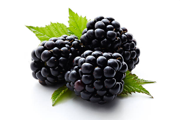 Mora  - Nutrición en el embarazo