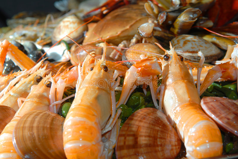 Gamberetti grigi  - Alimentazione in gravidanza