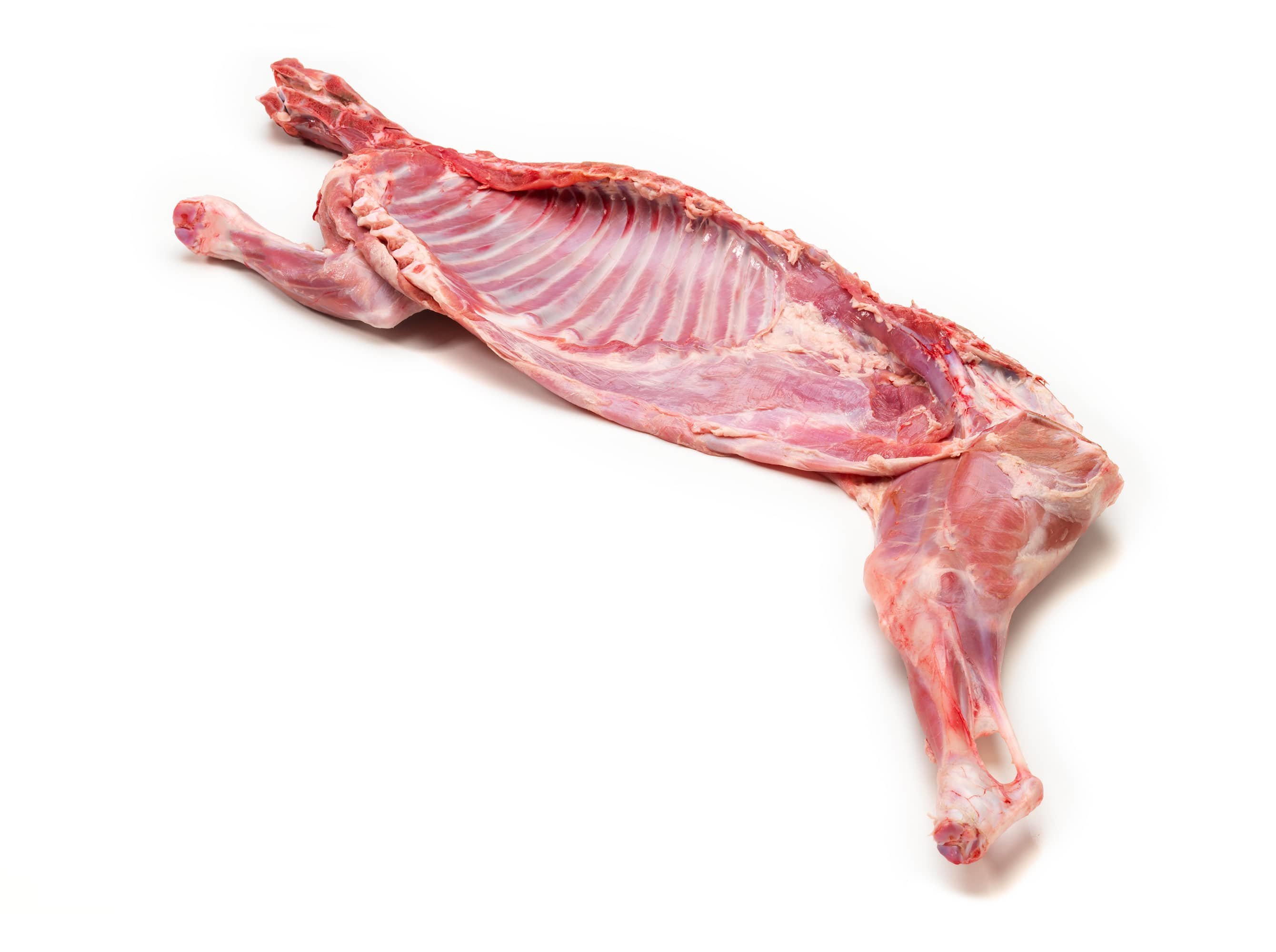 Stange  - Schwangerschaftsernährung