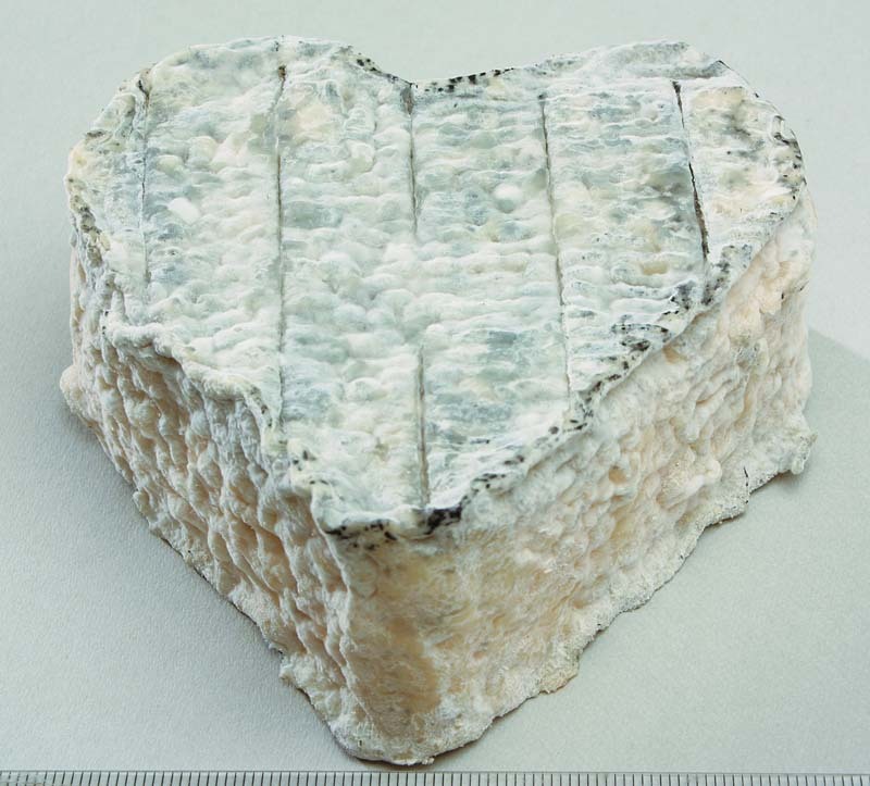 Coeur de Touraine cendré Cheese  - Schwangerschaftsernährung