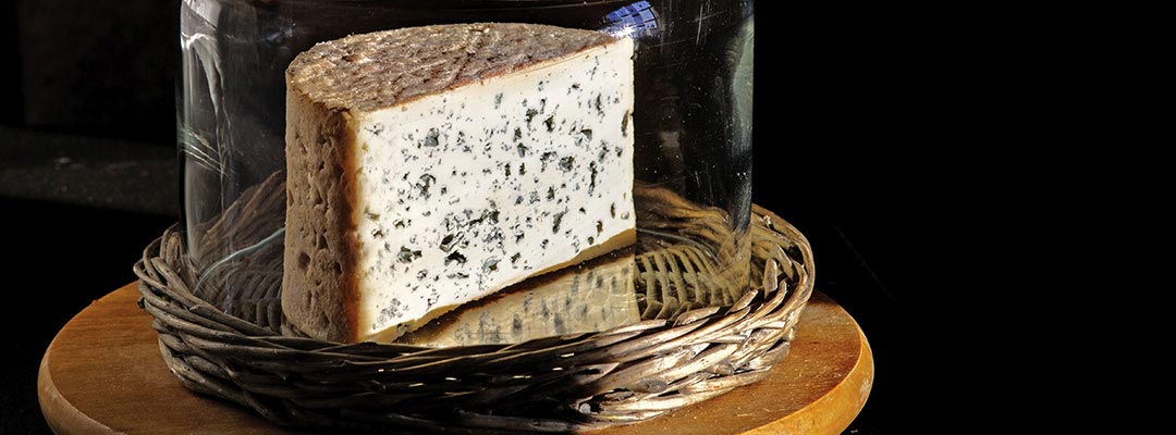 Blue Auvergne  - Schwangerschaftsernährung