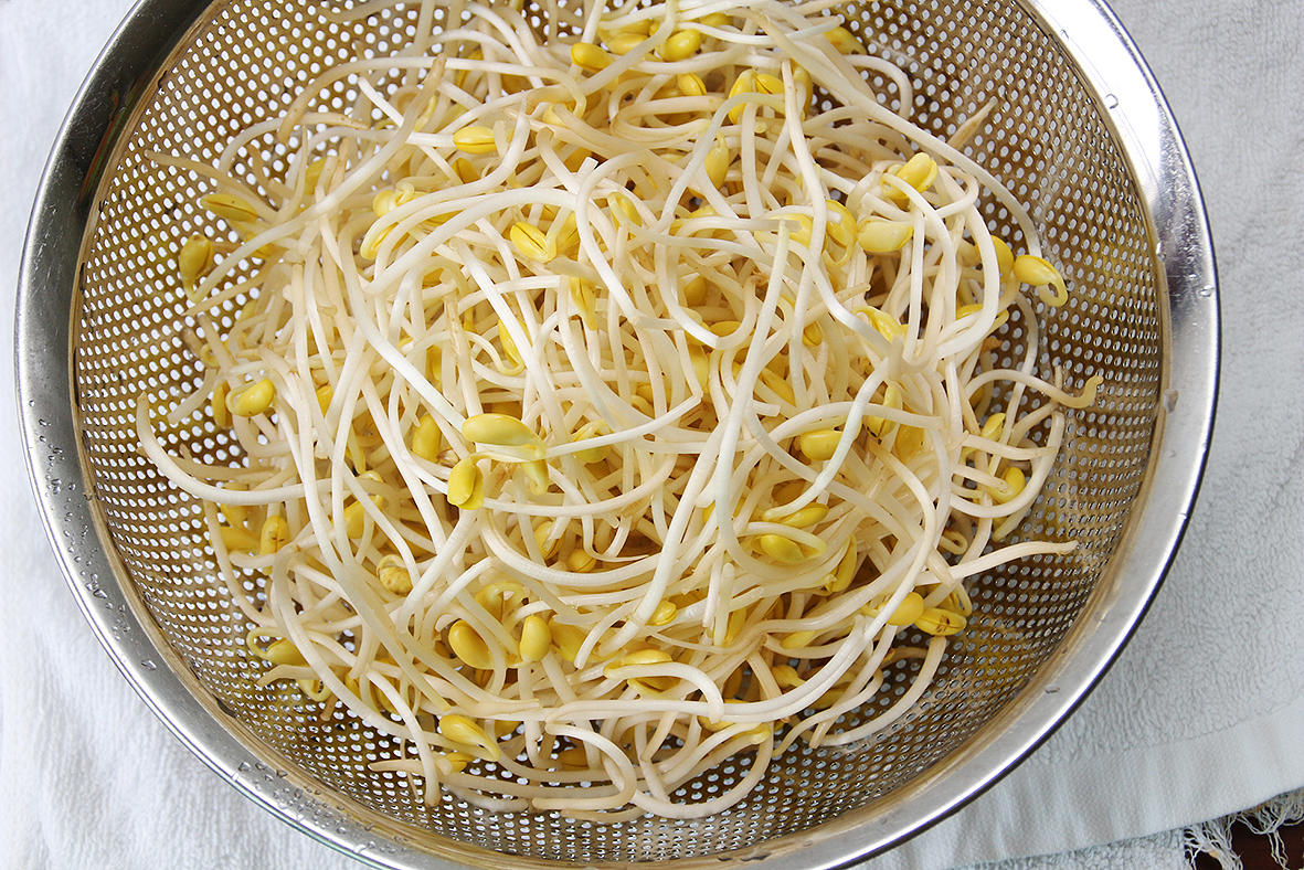 Broto de soja - Nutrição na gravidez