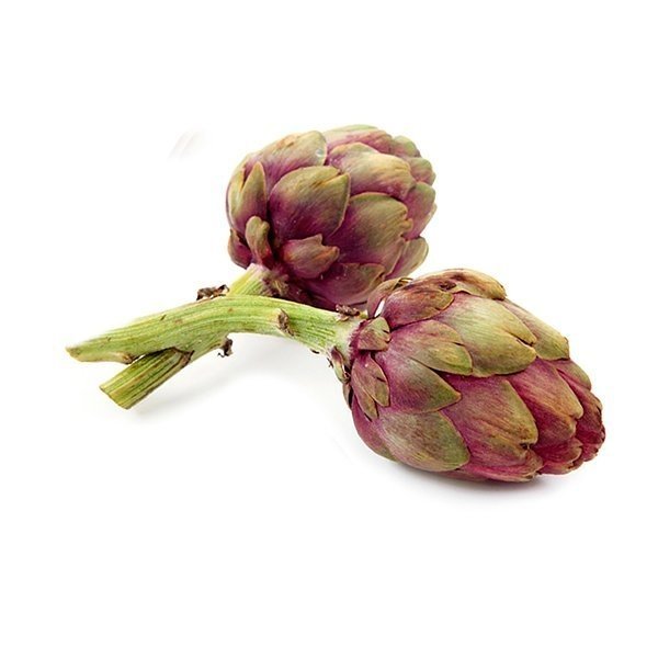 Alcachofra  - Nutrição na gravidez