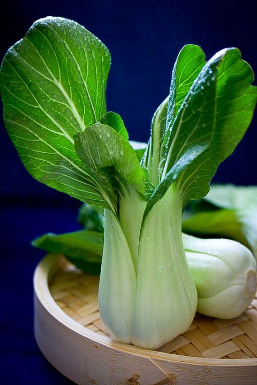 repolho chinês  - Nutrição na gravidez