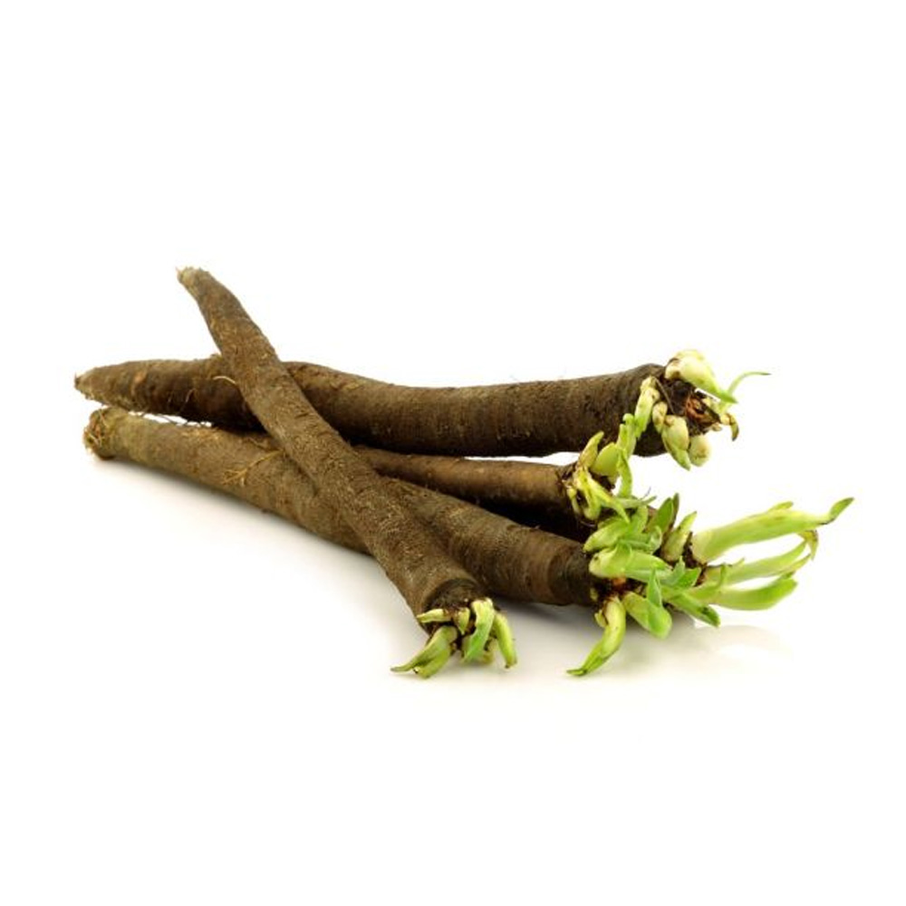 Salsify  - Nutrição na gravidez