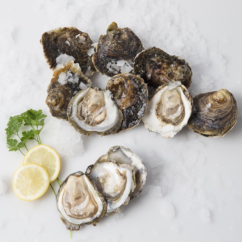 Ostra plana - Nutrición en el embarazo