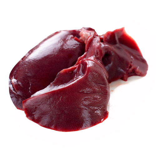 Rabbit  - Pregnancy Nutrition