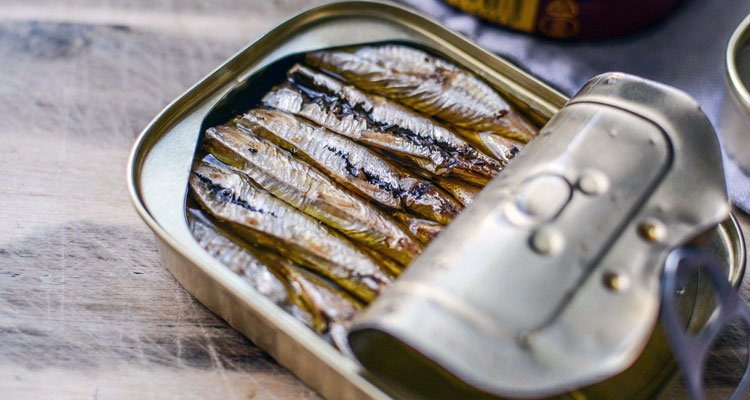 Sardinha na caixa  - Nutrição na gravidez