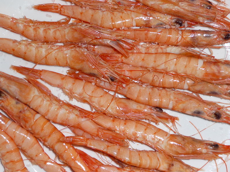 Gamberi  - Alimentazione in gravidanza