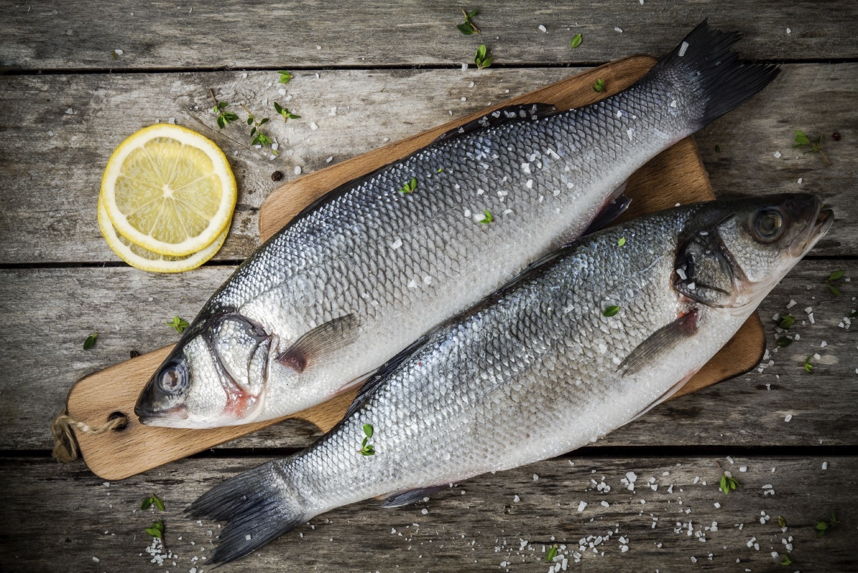 Bar o lupo comune  - Alimentazione in gravidanza