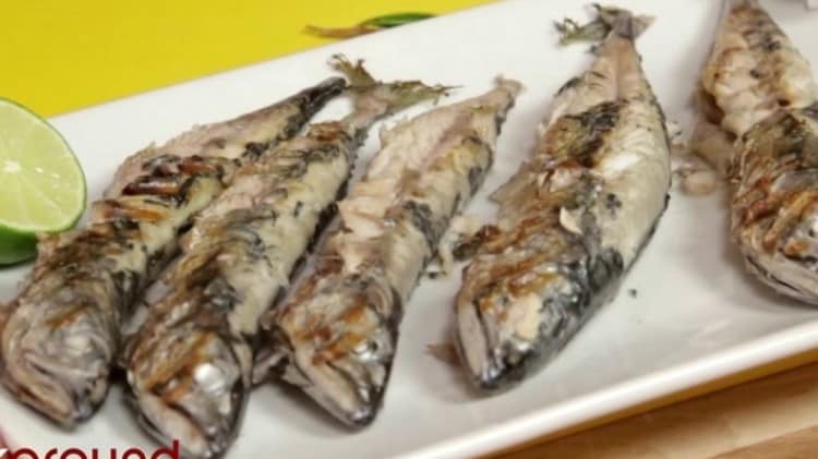 Mackerel spagnolo o sgombro bianco o biliardo - Alimentazione in gravidanza