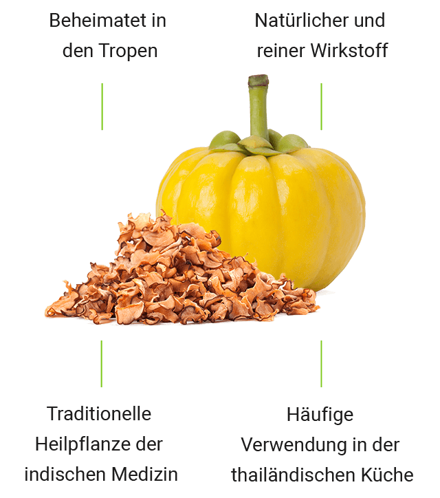 Chitin, chitosan  - Alimentazione in gravidanza