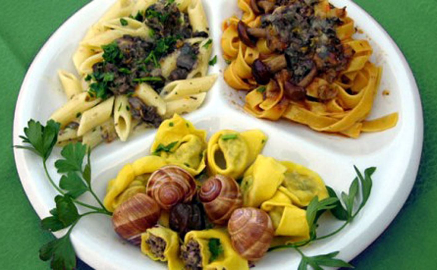 Lumaca  - Alimentazione in gravidanza