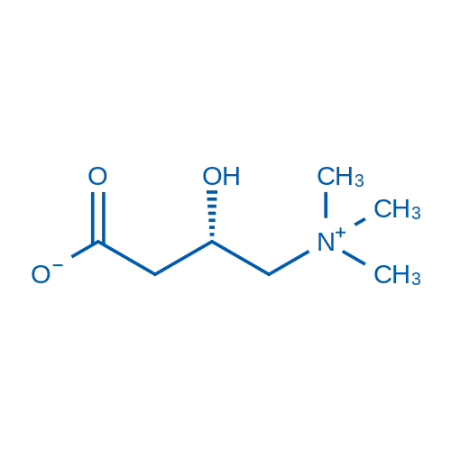 3-hidroxi-4-triméthylammonio-butanoato  - Nutrição na gravidez