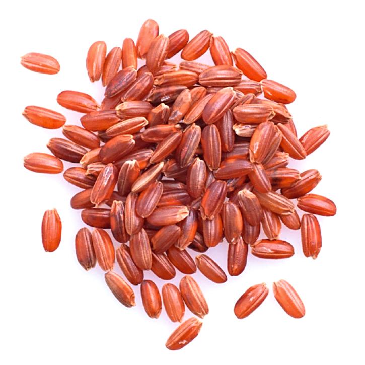Levedura  - Nutrição na gravidez