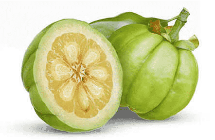 Garcinia  - alimentation grossesse