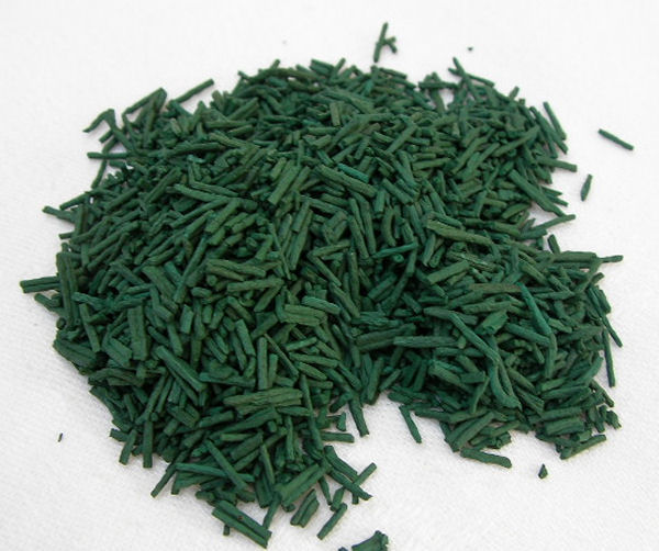 Arthrospira platensis  - alimentation grossesse