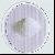 3-Hydroxy-4-Triméthylammonio-Butanoate  - Pregnancy Nutrition