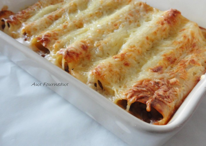 Lasagnes ou cannelloni à la viande  - alimentation grossesse