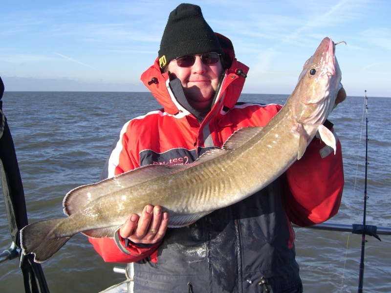 Lingue  - alimentation grossesse